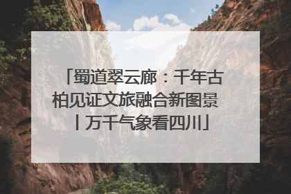 蜀道翠云廊：千年古柏见证文旅融合新图景丨万千气象看四川